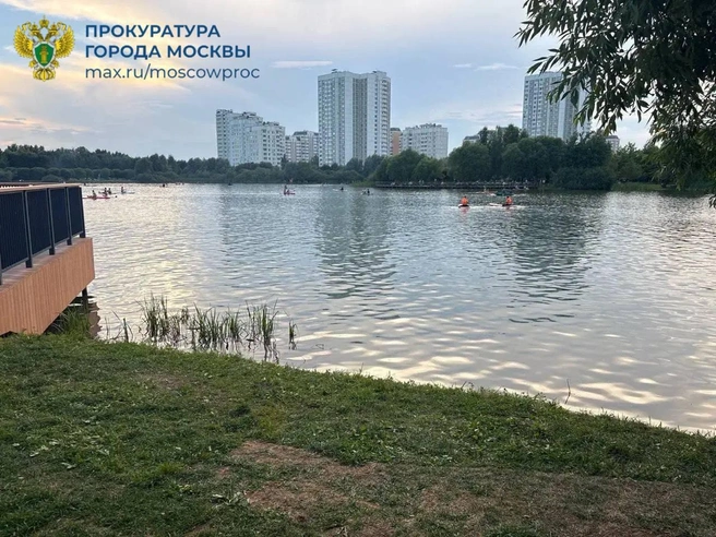 Тело 14-летнего подростка нашли в пруду в Южное Бутово | Источник: Прокуратура Москвы / T.me