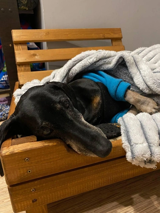 В такую погоду сложно обойтись без теплых одеял и пледов | Источник: читательница НГС Наталья