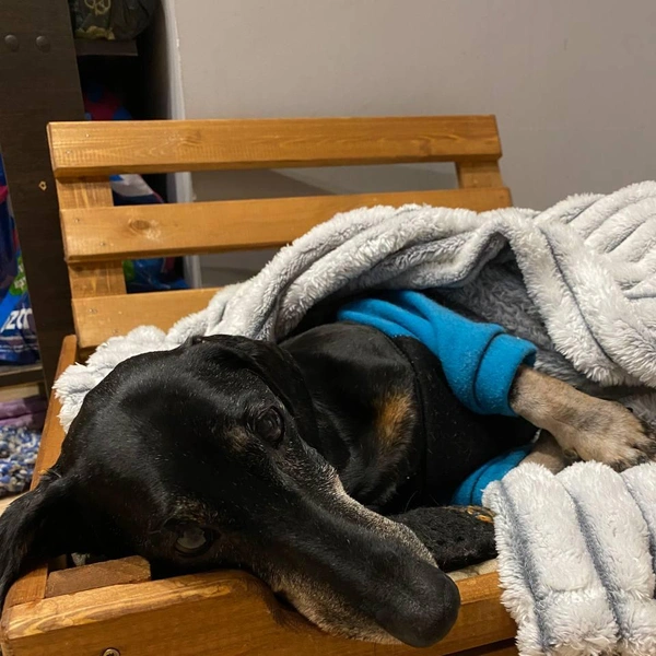 Источник: читатель НГС