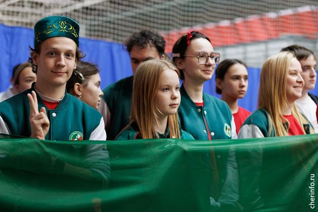 Источник: st.cherinfo.ru