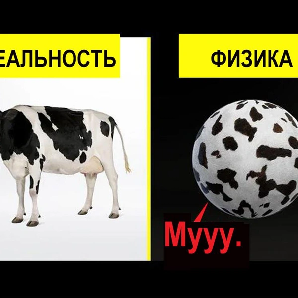 Источник: соцсети