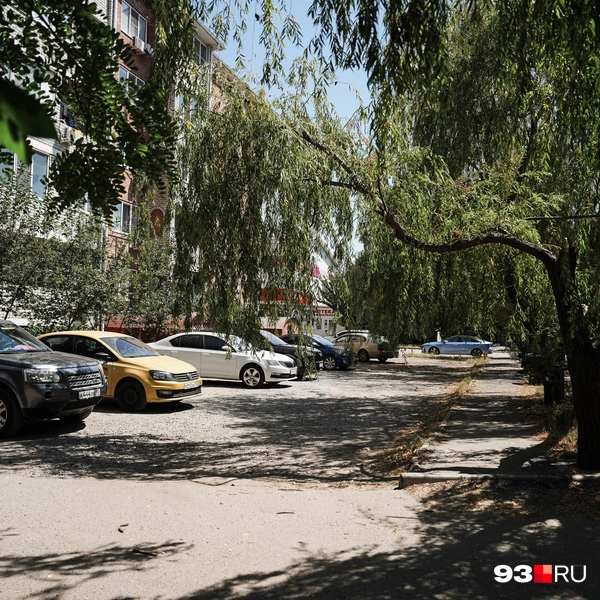 Источник: Дарья Паращенко / 93.RU