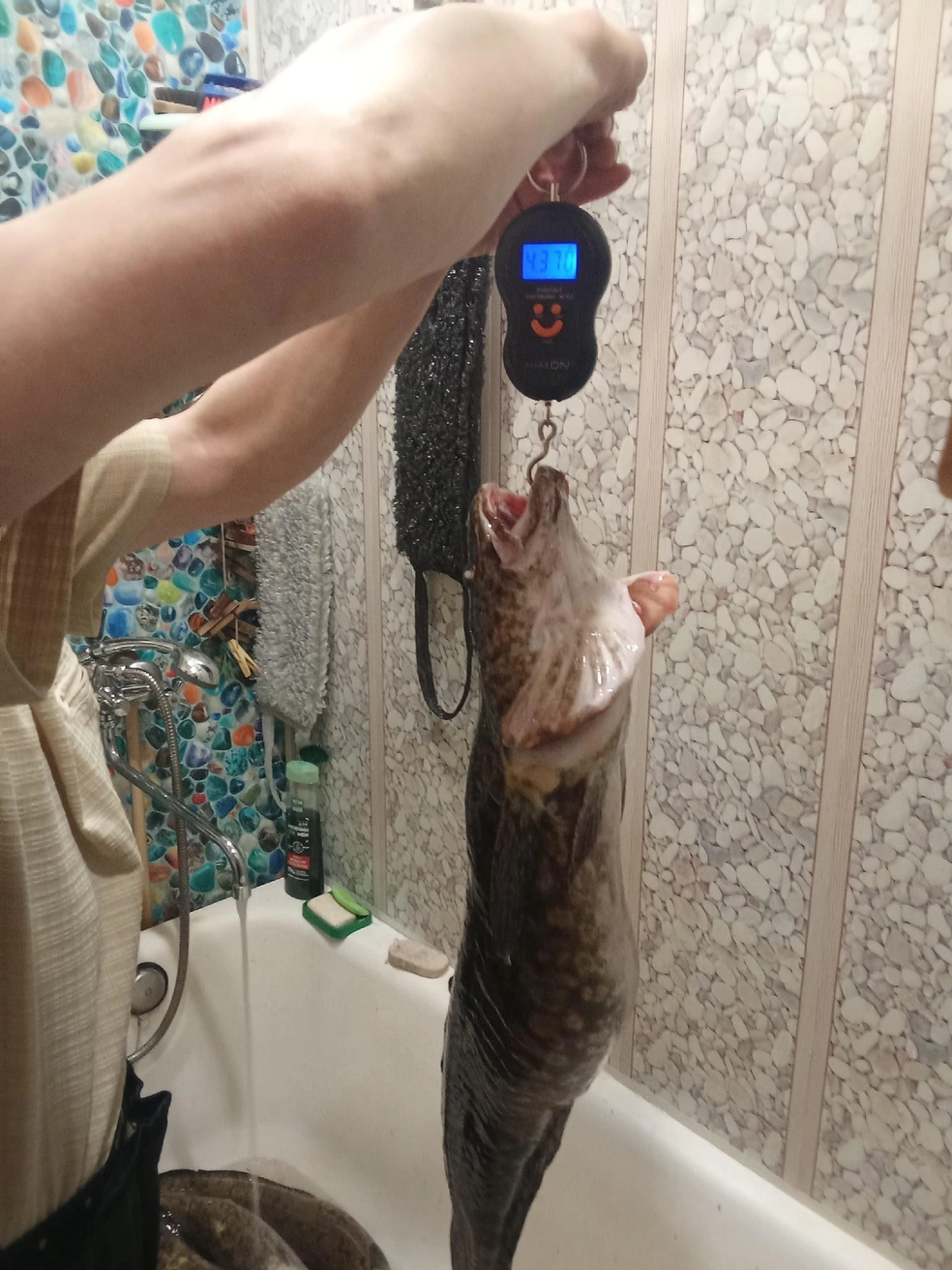 Источник: Владимир Белоненко