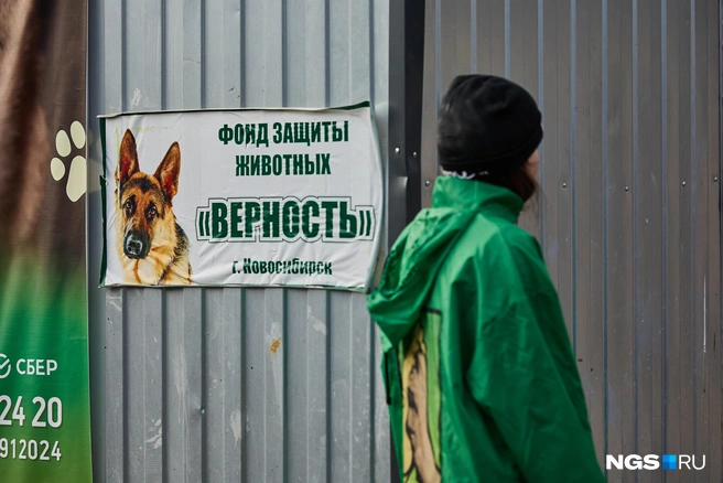 В приюте «Верность» живут 188 собак | Источник: Александр Ощепков / NGS.RU