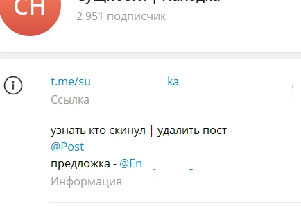 Источник: «Сущности | Находка» / T.me