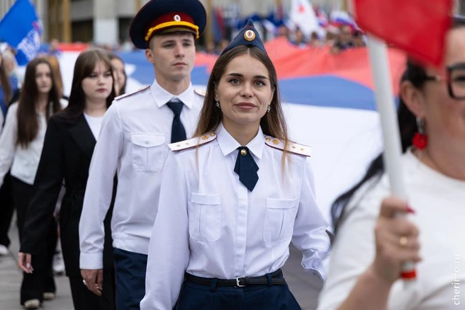 Источник: st.cherinfo.ru