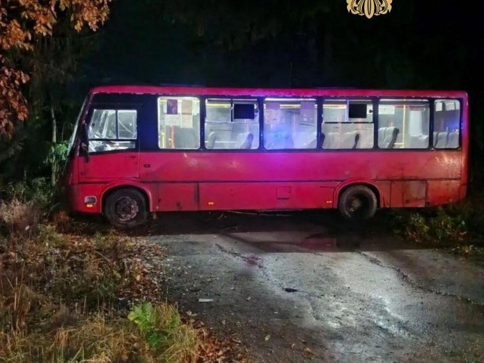 Под Волосово автобус съехал в кювет, есть пострадавший