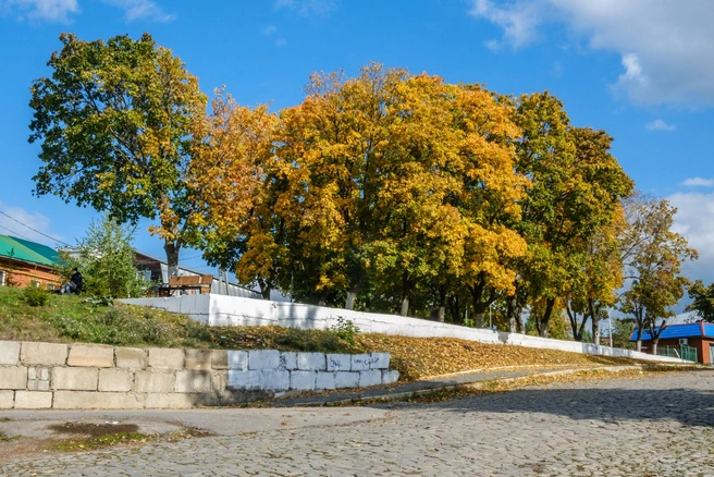 Улица Трактовая