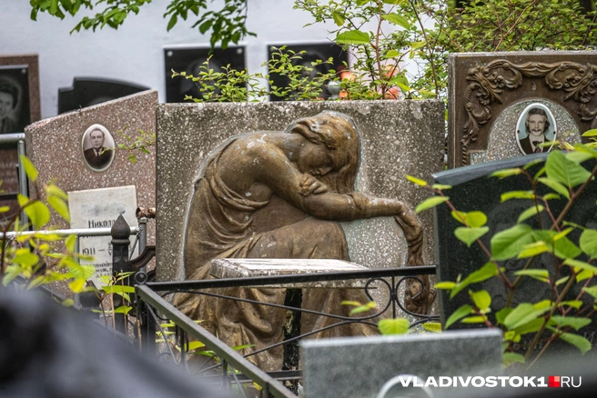 Источник: Елена Буйвол / VLADIVOSTOK1.RU