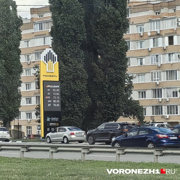 Источник: Андрей Пашинский / Voronezh1.ru