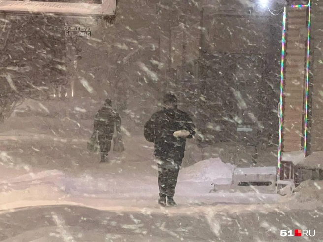 Источник: Александра Балаба / 51.RU