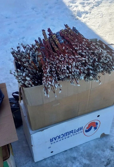 В Сургуте вербу продают у «Мясного двора» на Мира, в микрорайоне Строитель | Источник: Анастасия Шевякова / 86.RU