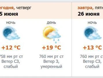 Источник: скриншот с meteo.nw.ru