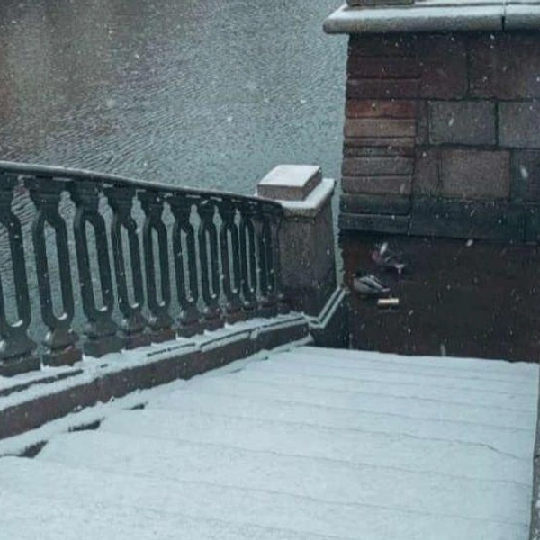 Источник: читатель «Фонтанки»