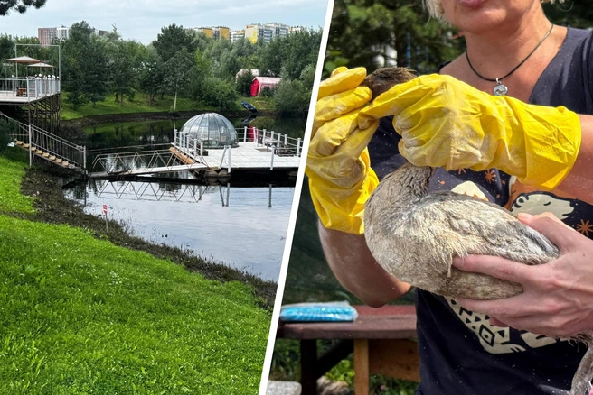 На берегу Мулянки появилась черная маслянистая полоса | Источник: Алексей Кожевников / 59.RU