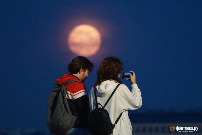 Что случилось в сфере соцуслуг, как отдохнуть во Вьетнаме и чего хотят от работы зумеры: 4 главных текста недели | Источник: Сергей Михайличенко / FONTANKA.RU