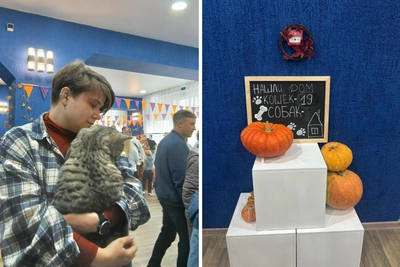 Галя Море пригрозила полицией за больных котов на «Котябре»