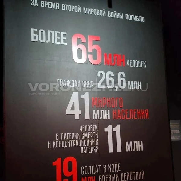 Источник: Ирина Булгакова/ Voronezh1.ru