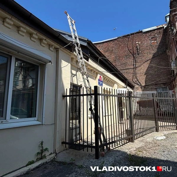Источник: Елена Буйвол / VLADIVOSTOK1.RU