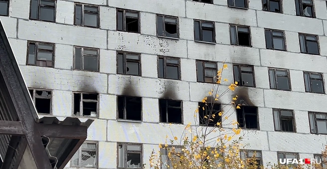 Костер пошел не по плану | Источник: Булат Салихов / UFA1.RU