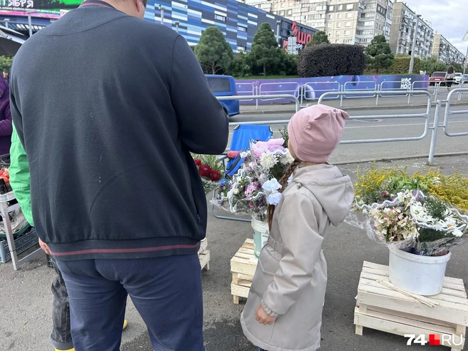 Источник: Светлана Талипова