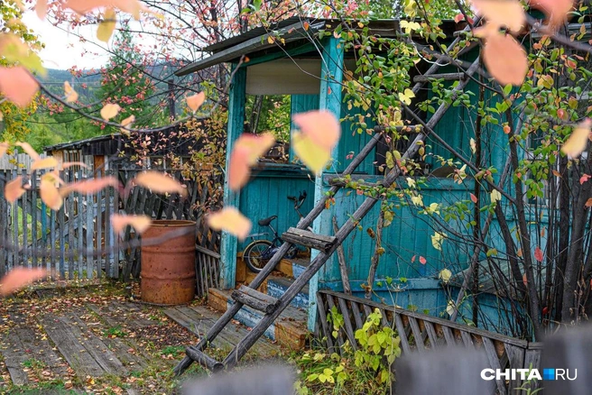 Источник: Олег Фёдоров / CHITA.RU