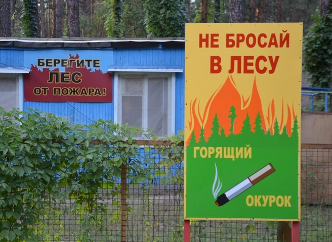 На территории Рязанской области снова объявлен особый противопожарный режим | ya62.ru