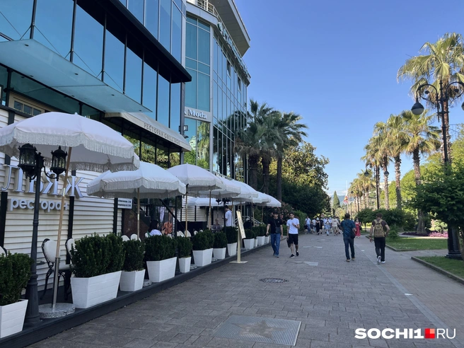 Постановление правительства PR-эффект роскошный для курорта | Источник: Анна Грицевич / SOCHI1.RU