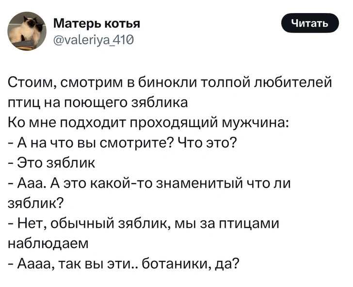 Источник: X (Twitter)