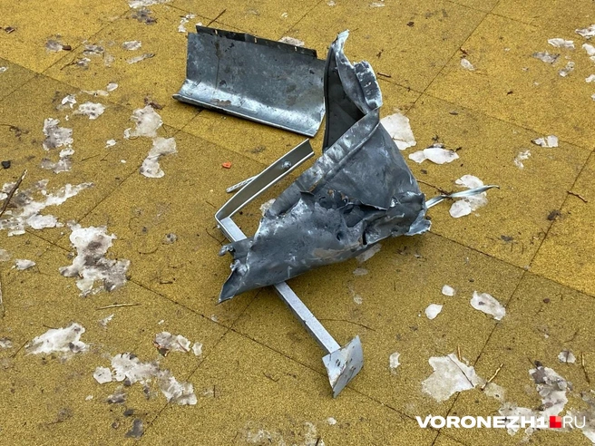 Источник: Дмитрий Волгин / Voronezh1.ru