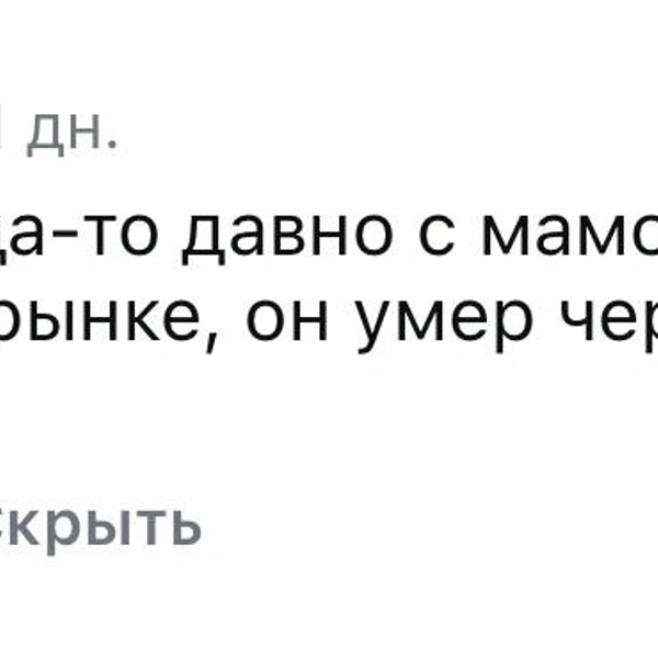 Источник: Софья Шмакова / Vk.com