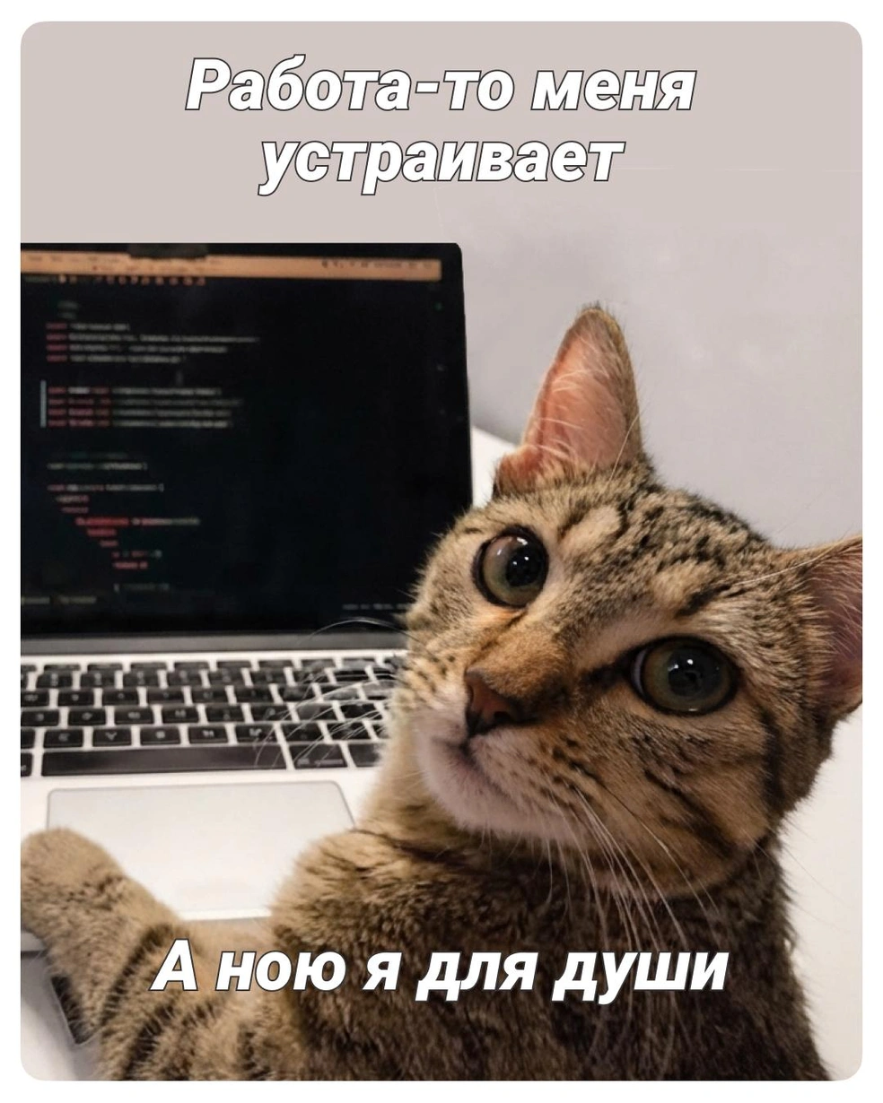 Кто узнал себя? | Источник: Полина Авдошина / Городские медиа