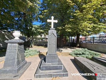 Источник: Алёна Воропаева / Voronezh1.ru