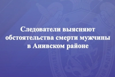 Следователи выясняют обстоятельства смерти мужчины в Анивском районе