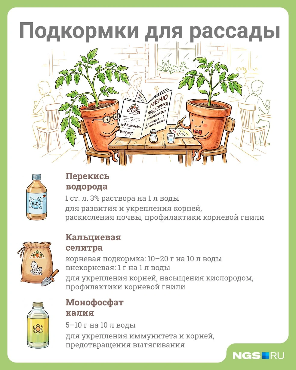 Источник: Юрий Орлов / Городские медиа