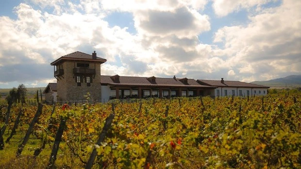 В Грузии — пить! Дизайнеры Smart Balls о поездке к виноделам