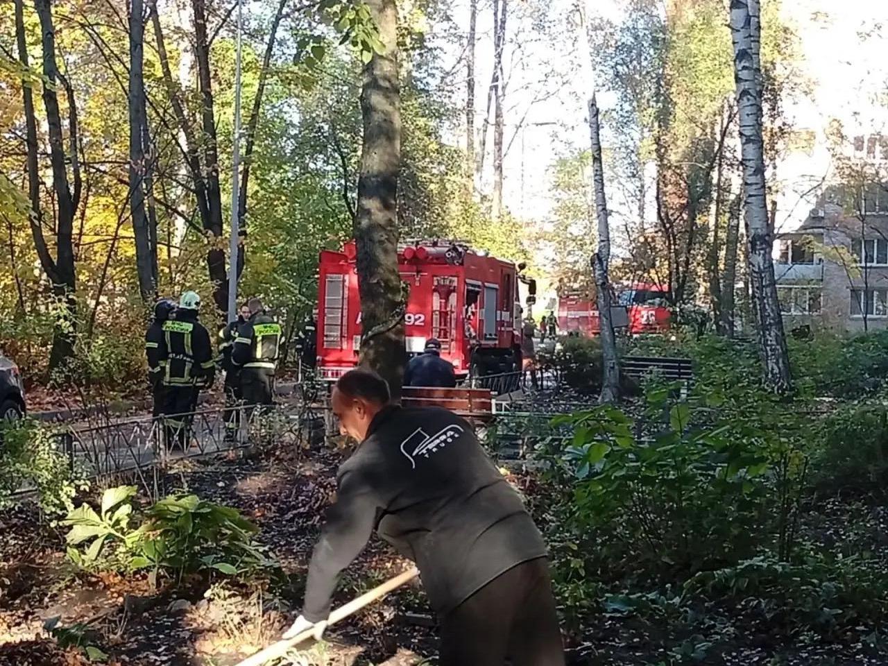 В Металлострое при пожаре погибла женщина