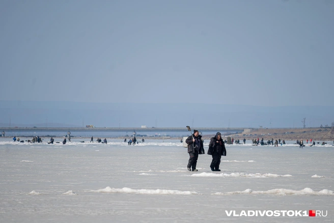 Источник: Елена Буйвол / VLADIVOSTOK1.RU