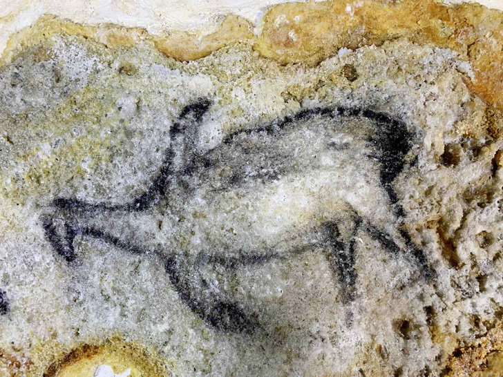 Наскальные мультфильмы: 8 деталей древних рисунков пещеры Шове
