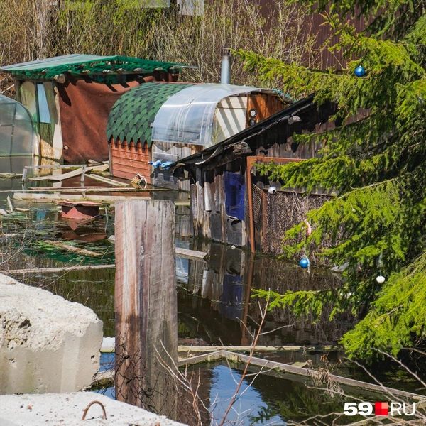 Так вот оно какое, Камское море | Источник: Тимофей Калмаков / 59.RU