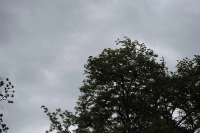 Похолодание в Краснодаре: прогноз на середину недели