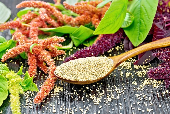 Источник: rezkrr / iStock
