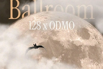 Moonlight Ballroom пройдет в старинном особняке на Китай-городе