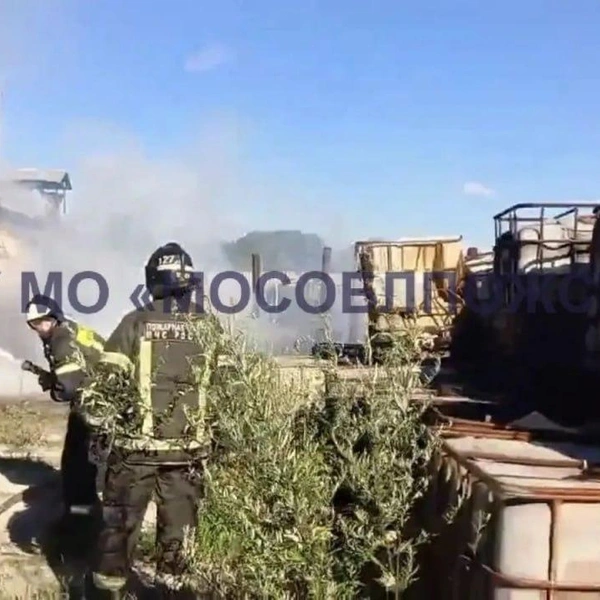 Источник: Кадр из видео ГКУ МО «Мособлпожспас»
