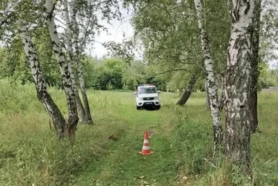 Труба упала на голову мальчика в Омской области