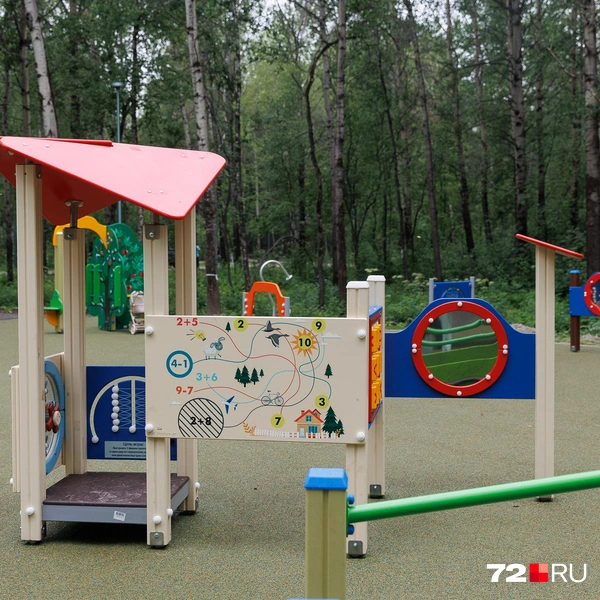 Источник: Ирина Шарова / 72.RU 