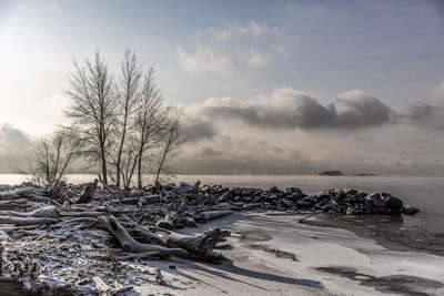 Конфликты из-за рекреационных зон: слова градостроителя Новосибирска