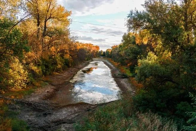 Так, практически обезвоженным, выглядит ерик Судомойка | Источник: Дмитрий Доценков