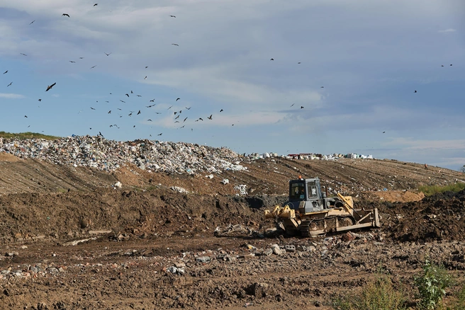 «Спецавтохозяйство» стало регоператором в начале 2024 года | Источник: Александр Ощепков / NGS.RU