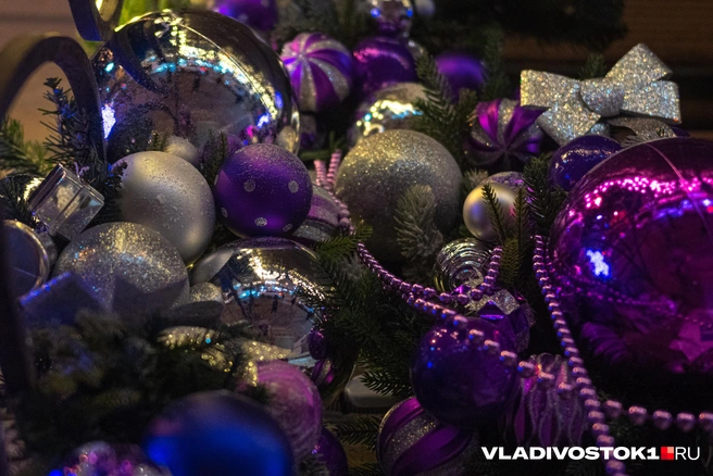Источник: Елена Буйвол / VLADIVOSTOK1.RU